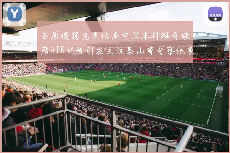 苗原透露克罗地亚中卫本科维奇缺席AIK训练引发关注泰山曾考察他表现